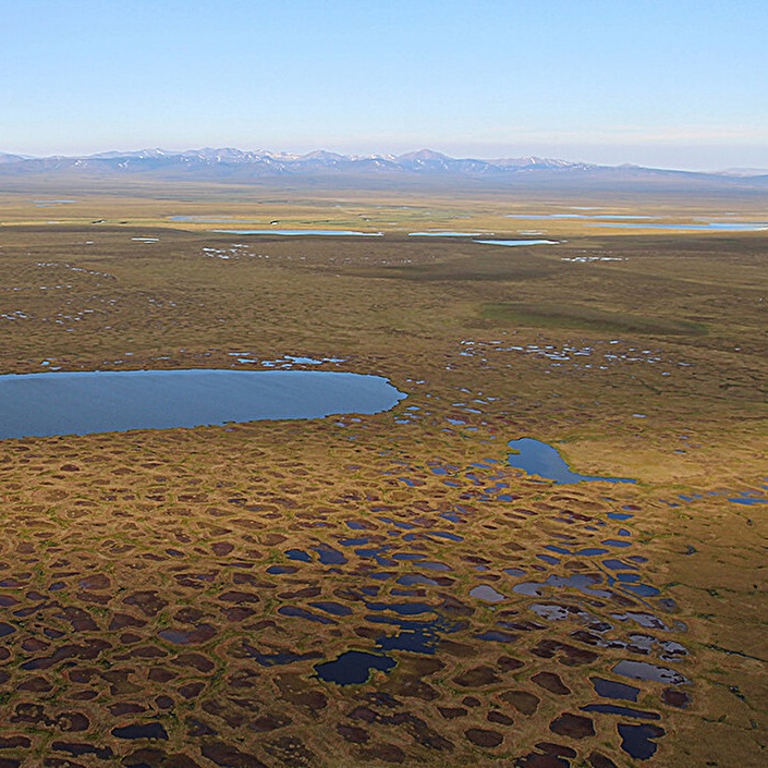 Read more about the article Study co-authored by Permafrost Carbon Network members shows northern permafrost is a net greenhouse gas emitter