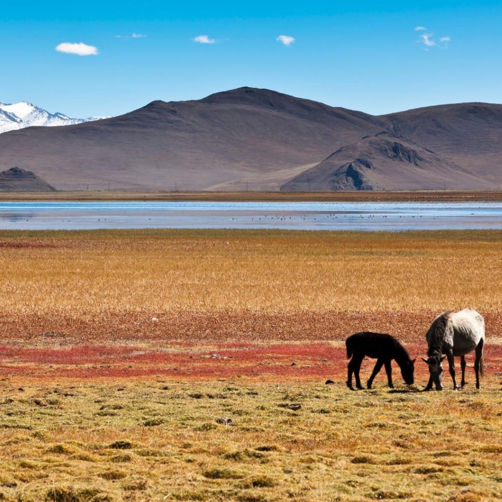 Read more about the article WMO: Third Pole Climate Forum issues first ever seasonal outlook