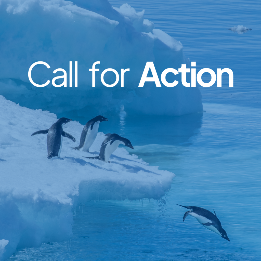 Read more about the article Call for international action and commitment for Antarctica InSync