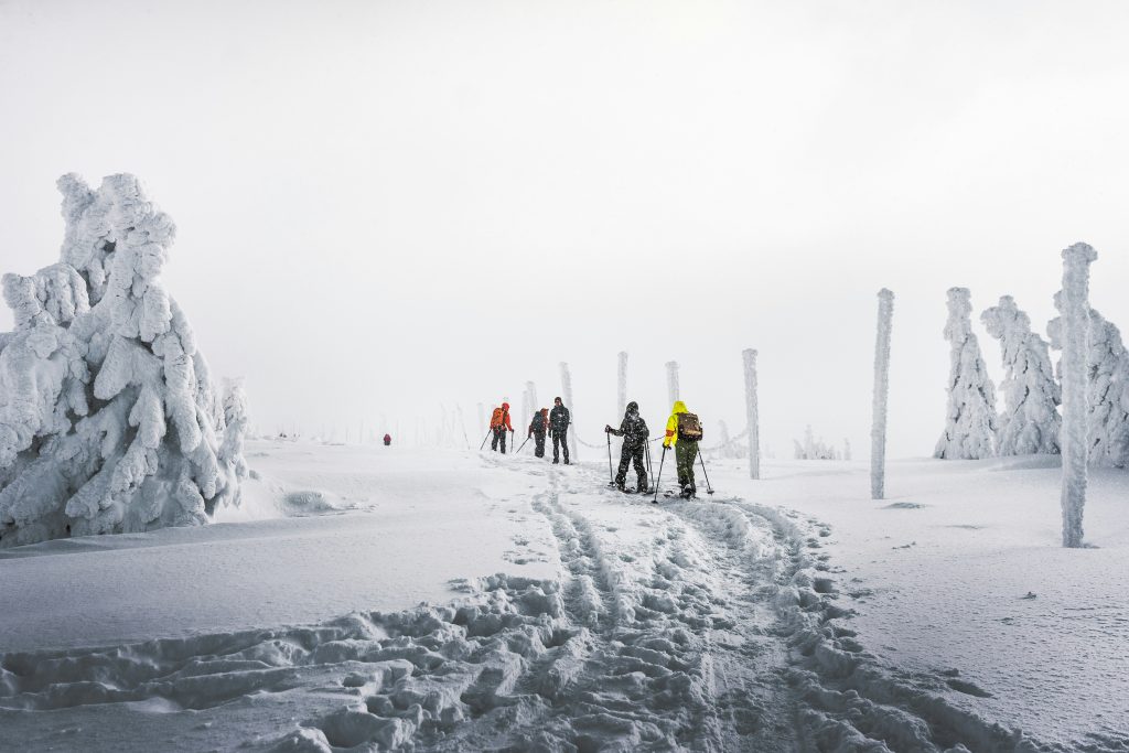Read more about the article Influence of high-latitude blocking and the northern stratospheric polar vortex on cold-air outbreaks under Arctic amplification of global warming