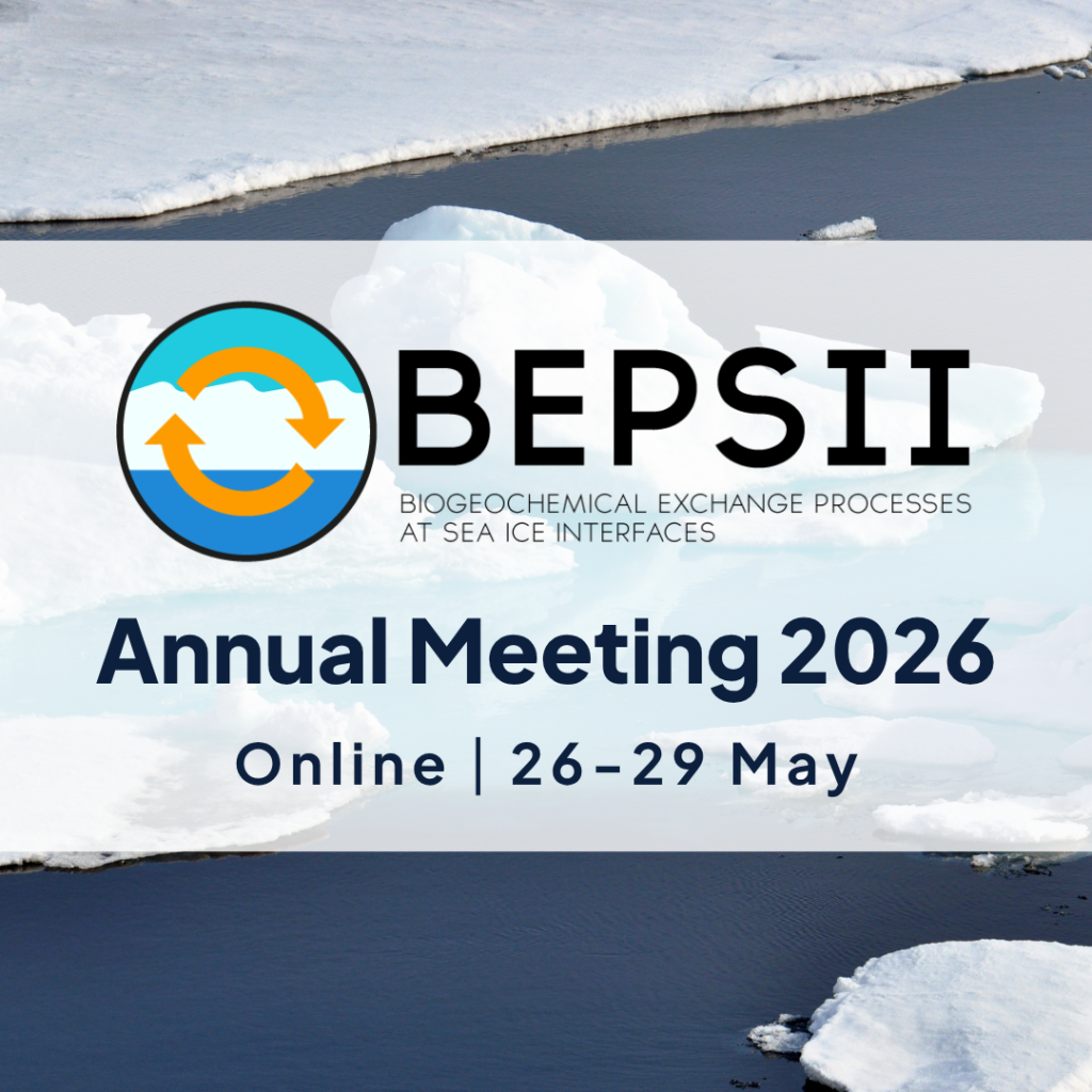 Read more about the article REGISTER NOW: BEPSII Annual Meeting 2026